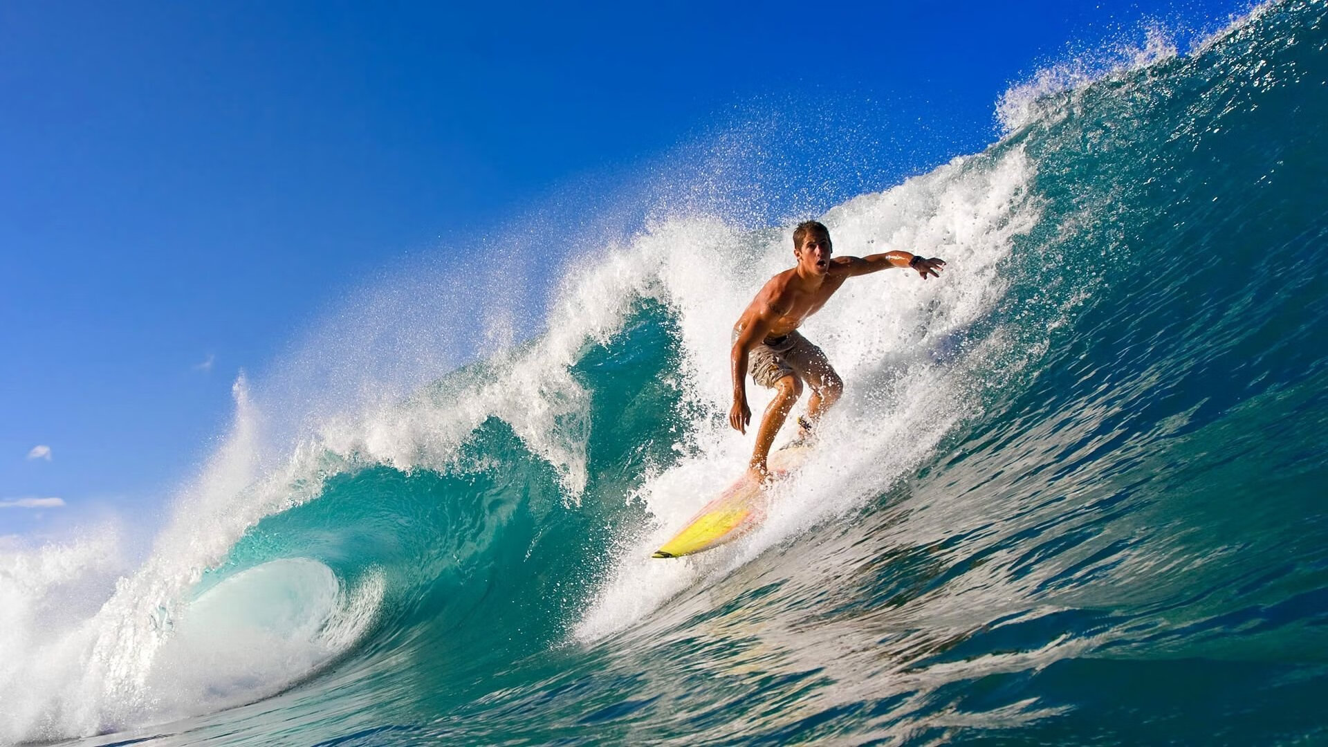 场上斗智：教练临场应变与战术调整解析，教练临场指挥些什么