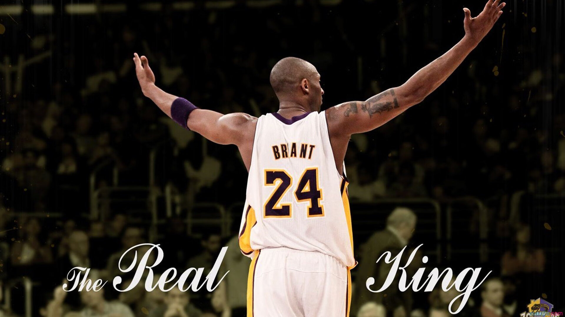 德国骑手格里高利·瓦特莱特在2024年国际马术联合会障碍赛世界巡回赛中获得个人第五名，展现坚韧精神。